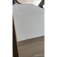 漂白杨木家具板 杨木包装板杨木胶合板