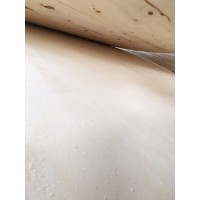 多层胶合板 木板材25mm